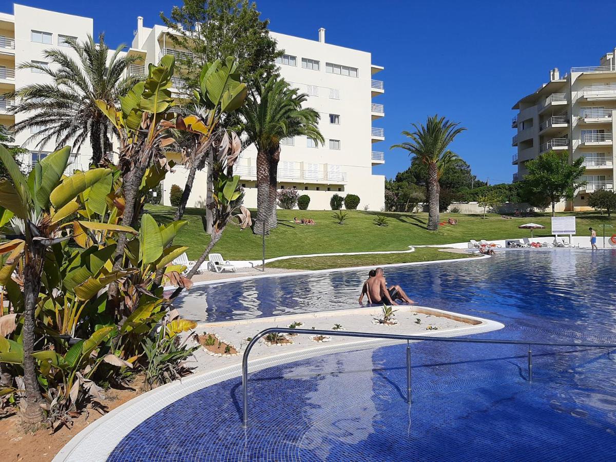 Marachique Lt 6 Nº 207 * Alvor